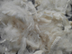 Chama de grande resistência da fibra de Aramid - o retardador protege a roupa